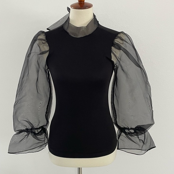 tinywillow Tops - tinywillow Black Top with Sheer Sleeves XS